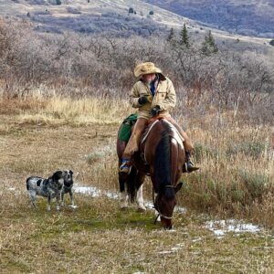 Matt Parker,horse,property,specialist